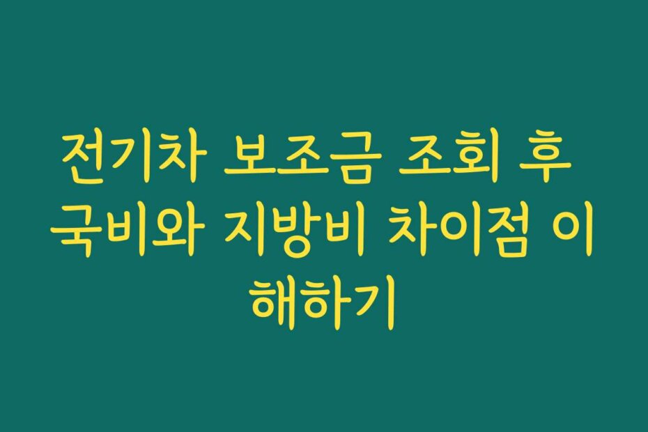 전기차 보조금 조회 후 국비와 지방비 차이점 이해하기