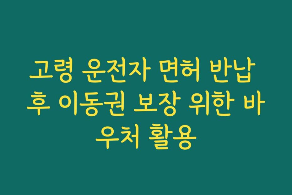고령 운전자 면허 반납 후 이동권 보장 위한 바우처 활용