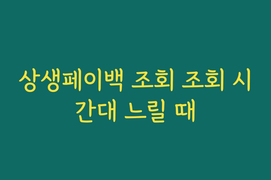 상생페이백 조회 조회 시간대 느릴 때