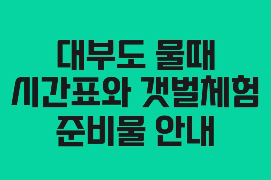대부도 물때 시간표와 갯벌체험 준비물 안내