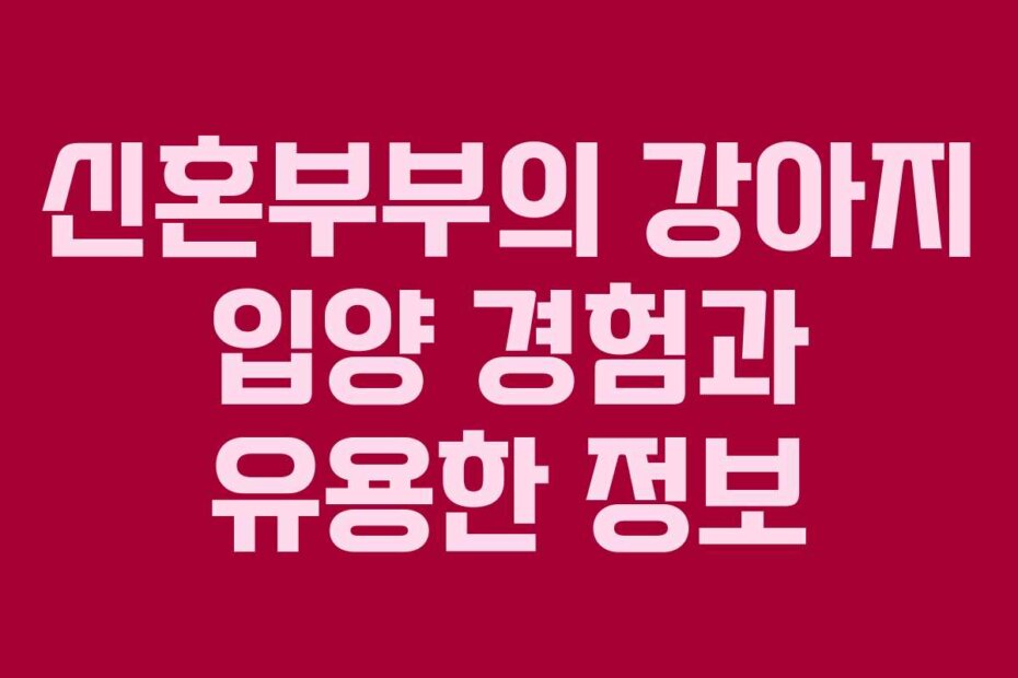 신혼부부의 강아지 입양 경험과 유용한 정보
