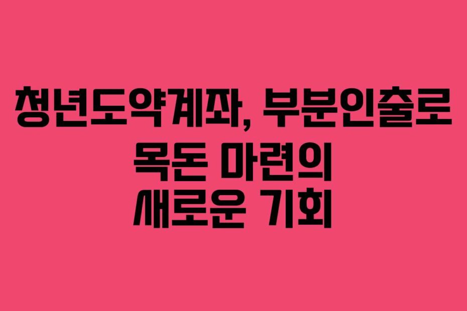 청년도약계좌, 부분인출로 목돈 마련의 새로운 기회
