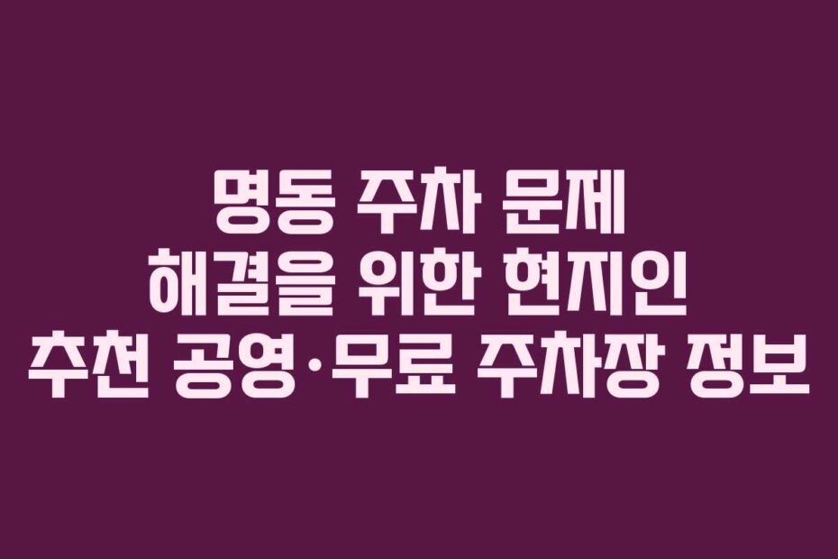 명동 주차 문제 해결을 위한 현지인 추천 공영·무료 주차장 정보