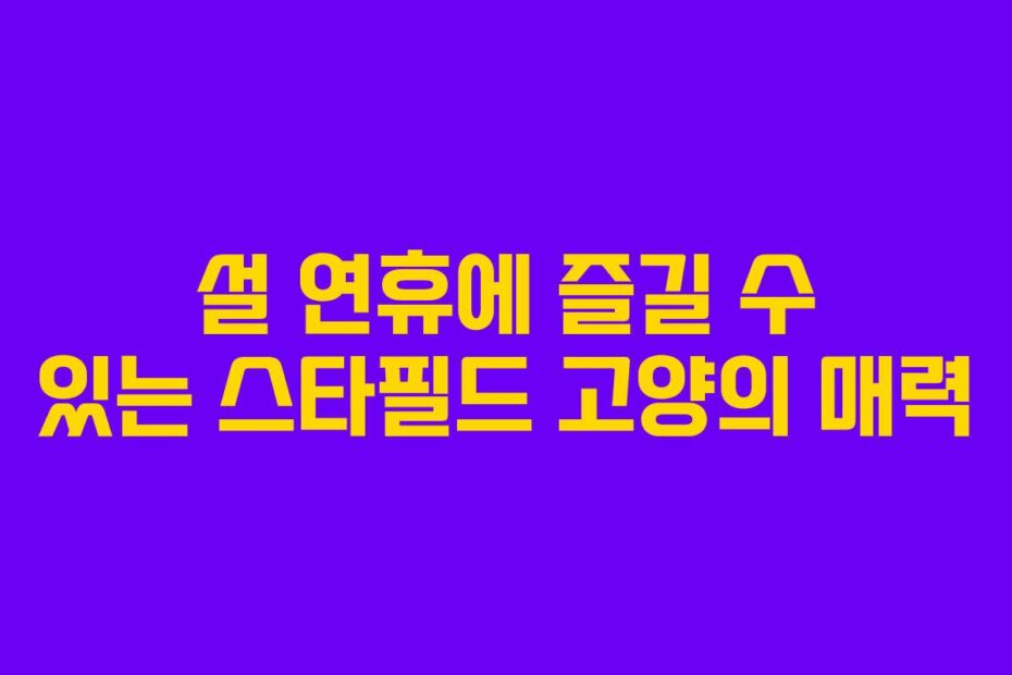 설 연휴에 즐길 수 있는 스타필드 고양의 매력