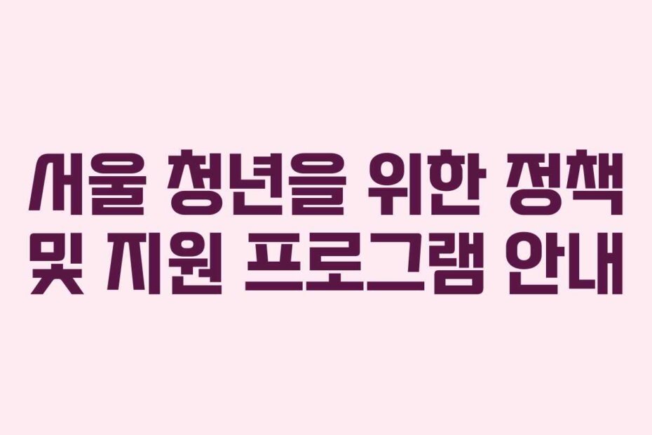 서울 청년을 위한 정책 및 지원 프로그램 안내
