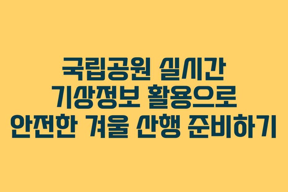 국립공원 실시간 기상정보 활용으로 안전한 겨울 산행 준비하기