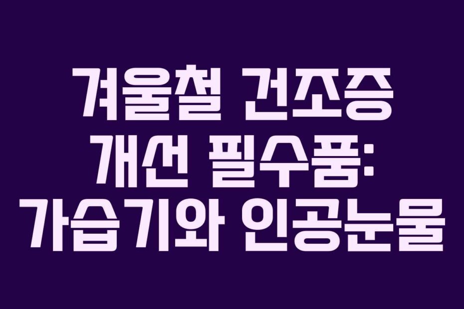 겨울철 건조증 개선 필수품: 가습기와 인공눈물