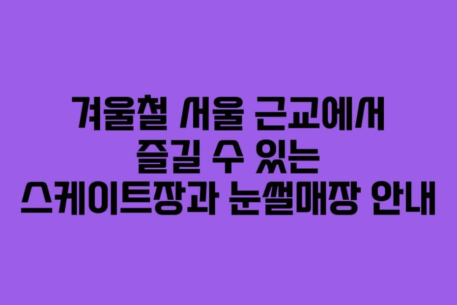겨울철 서울 근교에서 즐길 수 있는 스케이트장과 눈썰매장 안내