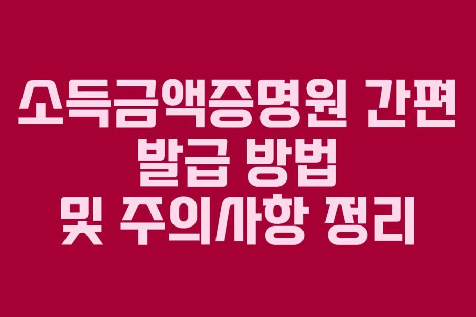 소득금액증명원 간편 발급 방법 및 주의사항 정리