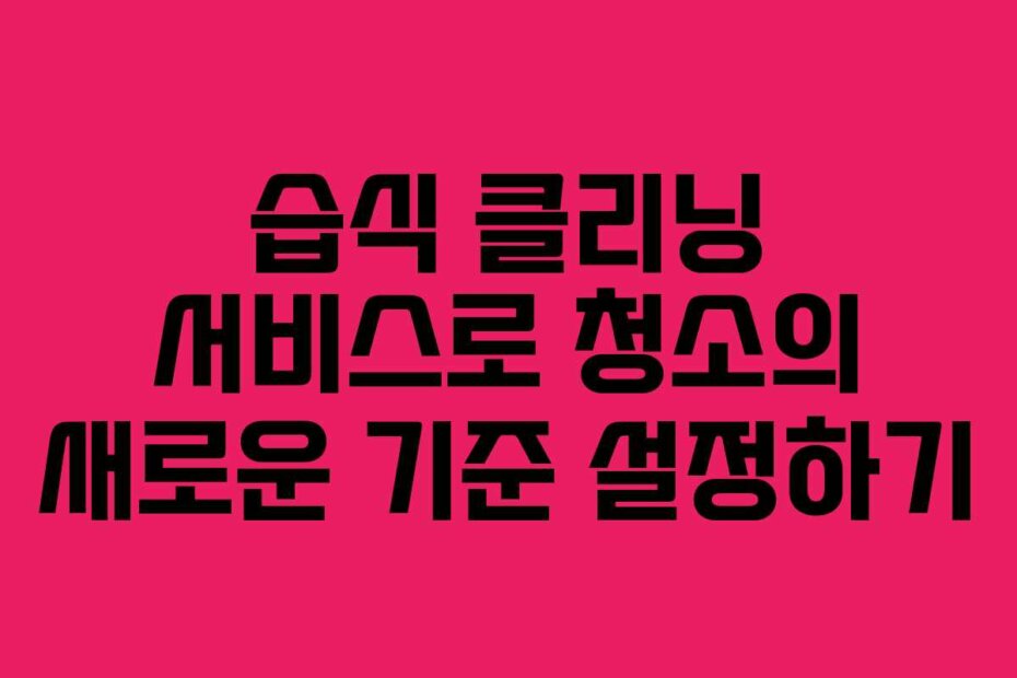 습식 클리닝 서비스로 청소의 새로운 기준 설정하기