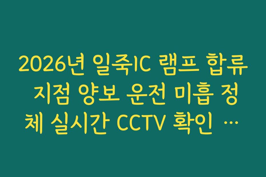 2026년 일죽IC 램프 합류 지점 양보 운전 미흡 정체 실시간 CCTV 확인 확인 확인 확인