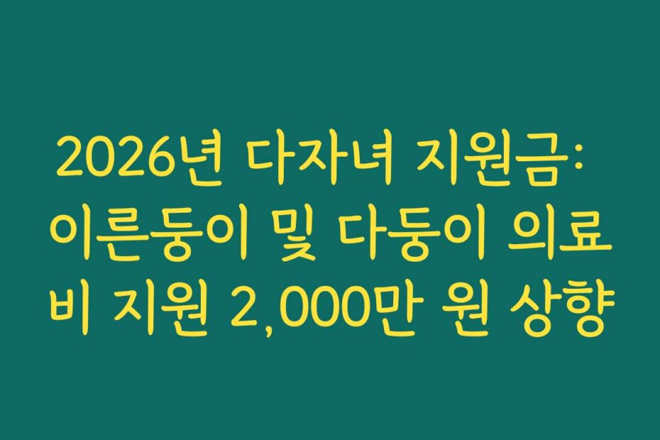 2026년 다자녀 지원금: 이른둥이 및 다둥이 의료비 지원 2,000만 원 상향