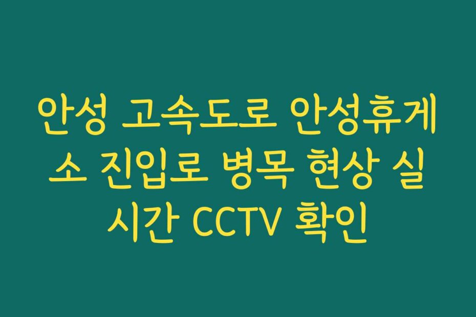 안성 고속도로 안성휴게소 진입로 병목 현상 실시간 CCTV 확인