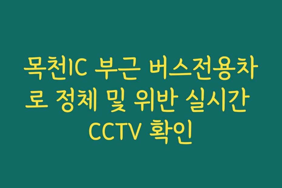 목천IC 부근 버스전용차로 정체 및 위반 실시간 CCTV 확인