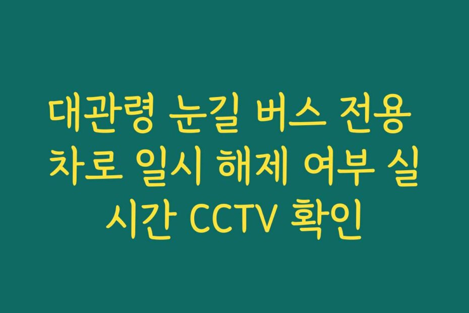 대관령 눈길 버스 전용 차로 일시 해제 여부 실시간 CCTV 확인