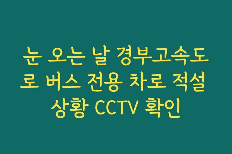 눈 오는 날 경부고속도로 버스 전용 차로 적설 상황 CCTV 확인
