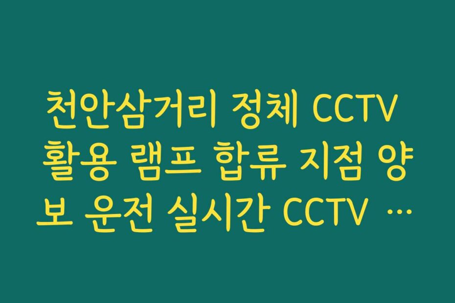 천안삼거리 정체 CCTV 활용 램프 합류 지점 양보 운전 실시간 CCTV 확인