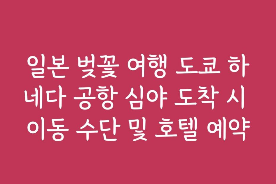 일본 벚꽃 여행 도쿄 하네다 공항 심야 도착 시 이동 수단 및 호텔 예약
