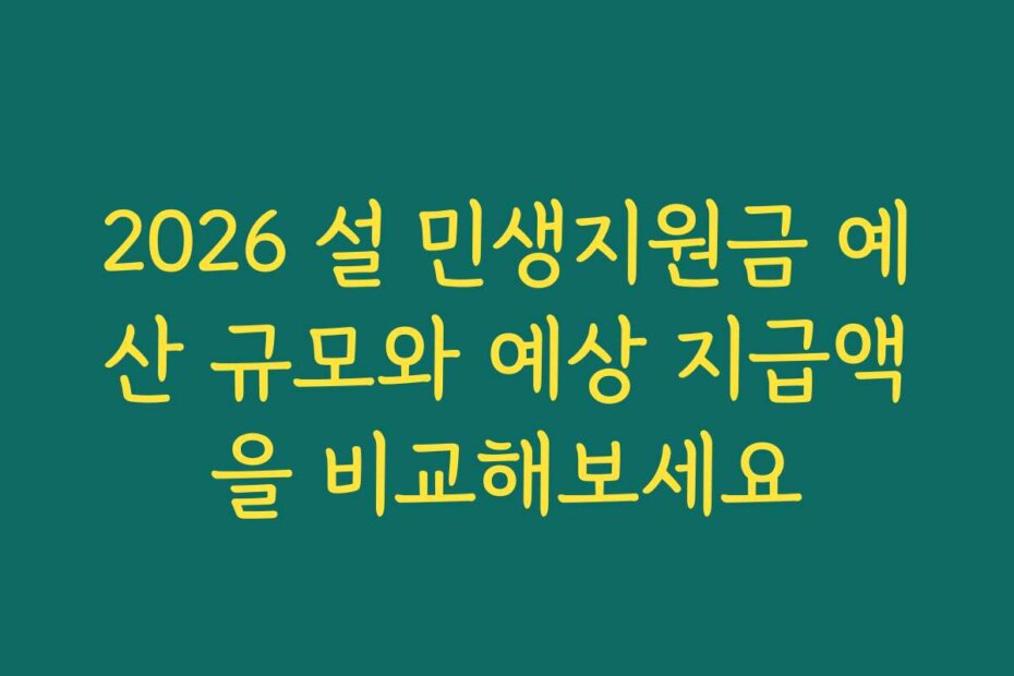 2026 설 민생지원금 예산 규모와 예상 지급액을 비교해보세요