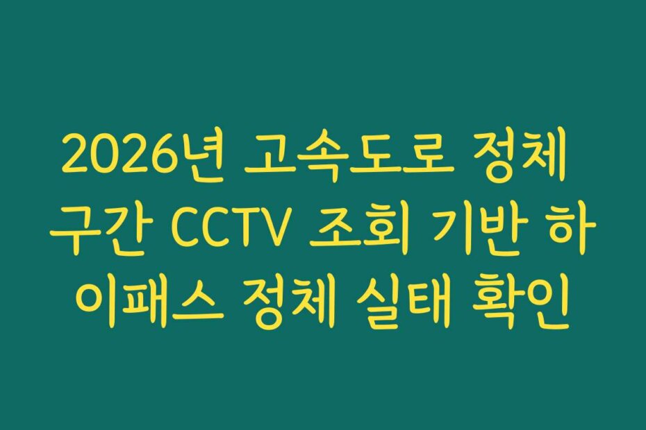 2026년 고속도로 정체 구간 CCTV 조회 기반 하이패스 정체 실태 확인