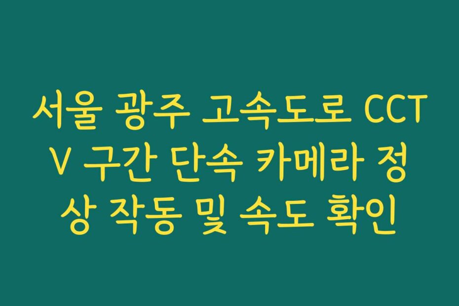 서울 광주 고속도로 CCTV 구간 단속 카메라 정상 작동 및 속도 확인