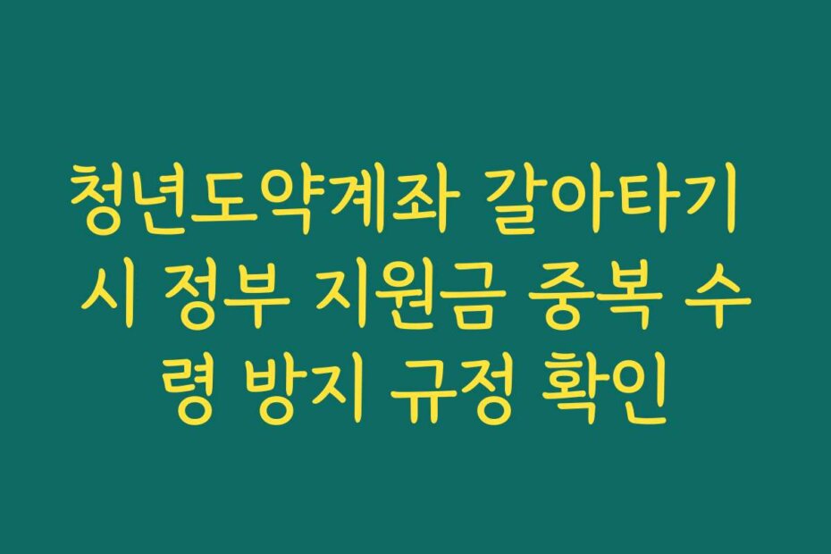 청년도약계좌 갈아타기 시 정부 지원금 중복 수령 방지 규정 확인