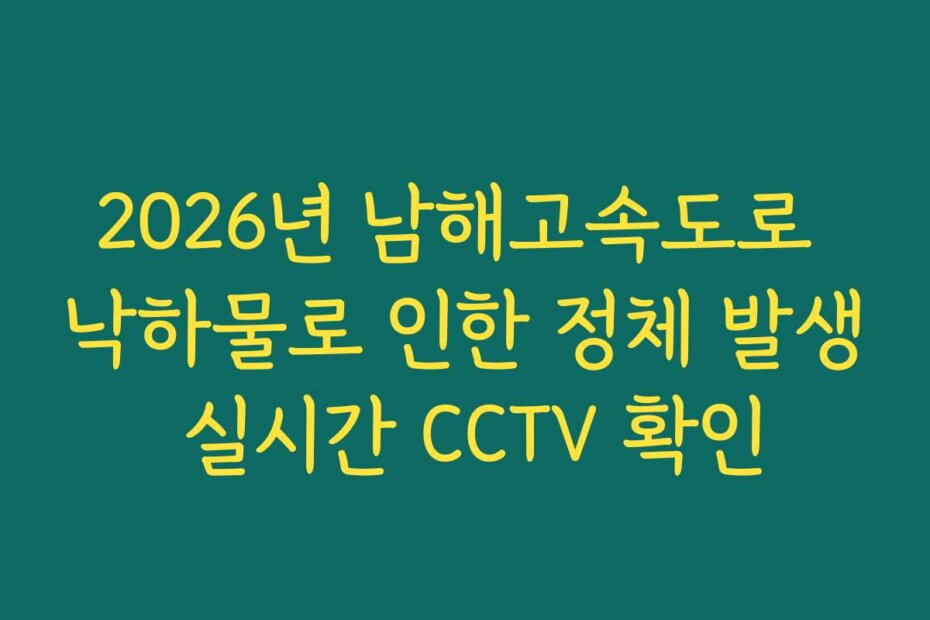2026년 남해고속도로 낙하물로 인한 정체 발생 실시간 CCTV 확인