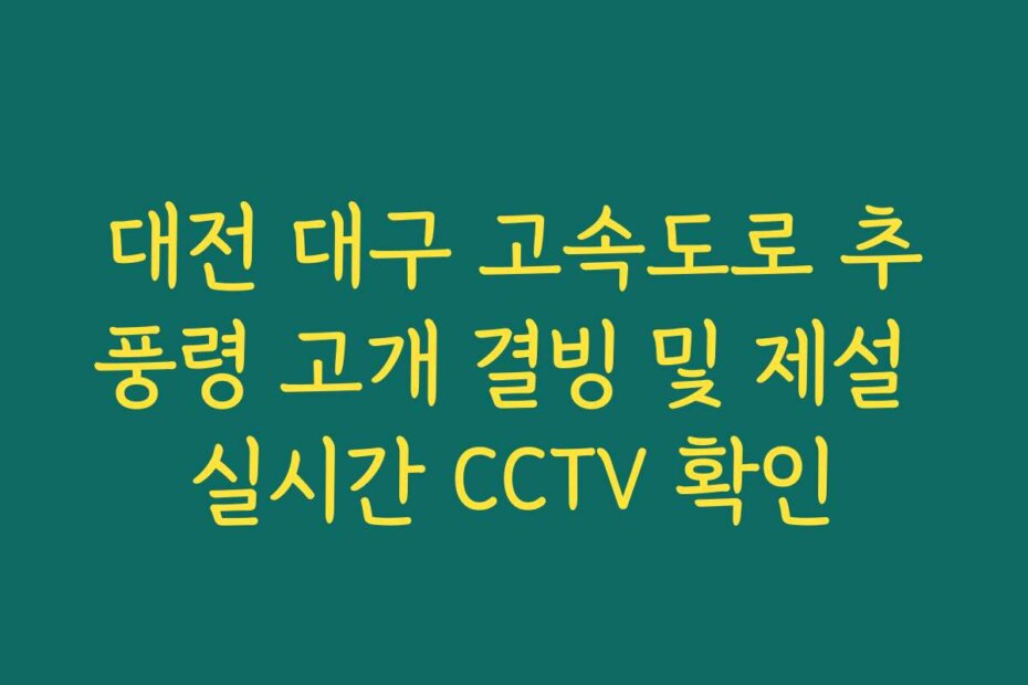 대전 대구 고속도로 추풍령 고개 결빙 및 제설 실시간 CCTV 확인