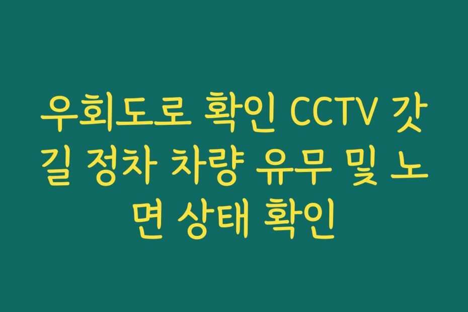 우회도로 확인 CCTV 갓길 정차 차량 유무 및 노면 상태 확인