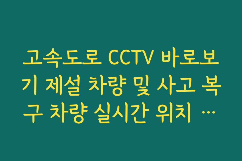 고속도로 CCTV 바로보기 제설 차량 및 사고 복구 차량 실시간 위치 확인