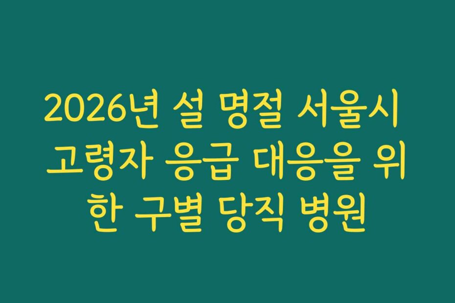 2026년 설 명절 서울시 고령자 응급 대응을 위한 구별 당직 병원