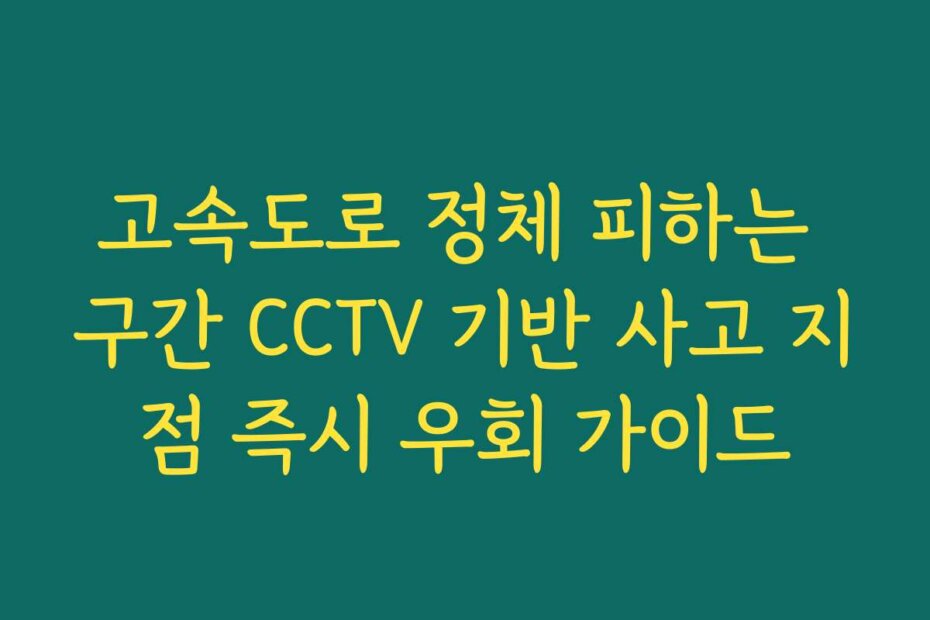 고속도로 정체 피하는 구간 CCTV 기반 사고 지점 즉시 우회 가이드