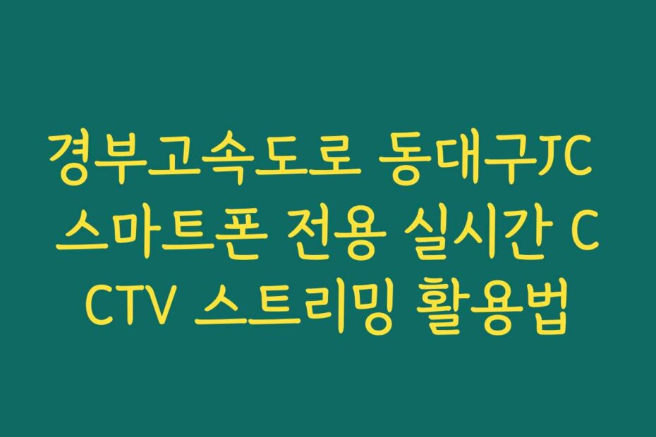 경부고속도로 동대구JC 스마트폰 전용 실시간 CCTV 스트리밍 활용법