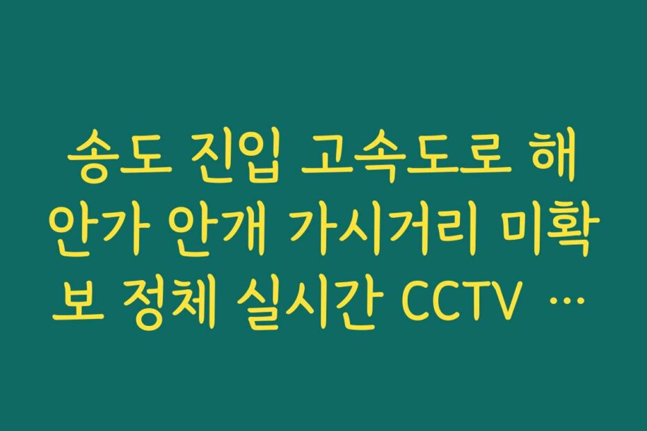 송도 진입 고속도로 해안가 안개 가시거리 미확보 정체 실시간 CCTV 확인