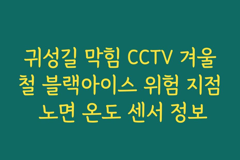 귀성길 막힘 CCTV 겨울철 블랙아이스 위험 지점 노면 온도 센서 정보