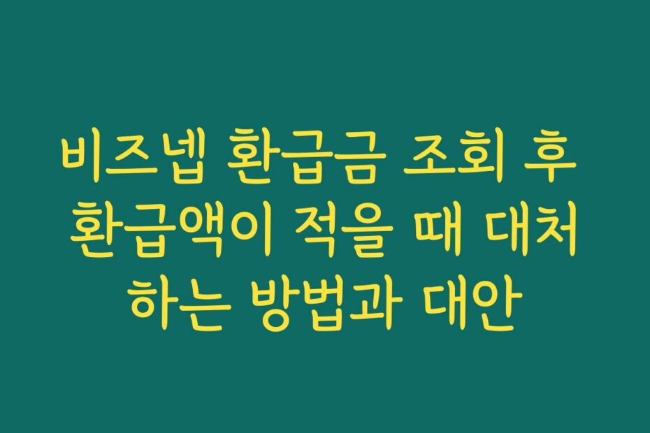 비즈넵 환급금 조회 후 환급액이 적을 때 대처하는 방법과 대안