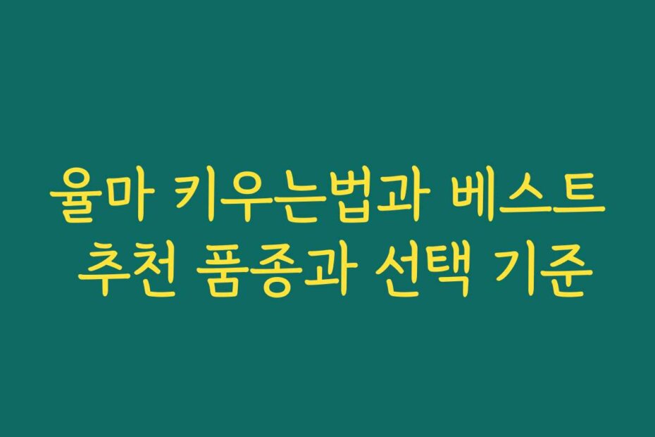 율마 키우는법과 베스트 추천 품종과 선택 기준