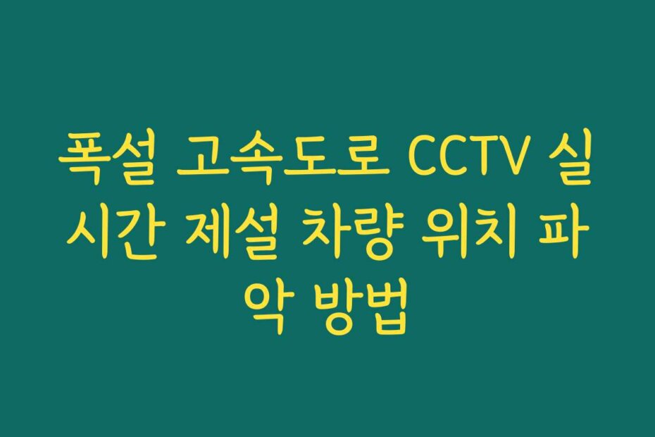 폭설 고속도로 CCTV 실시간 제설 차량 위치 파악 방법