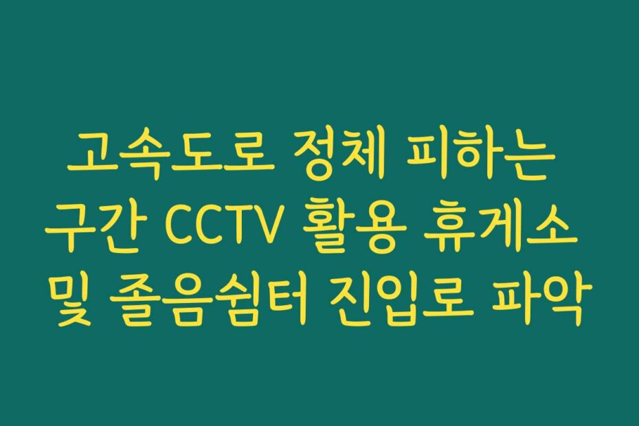고속도로 정체 피하는 구간 CCTV 활용 휴게소 및 졸음쉼터 진입로 파악