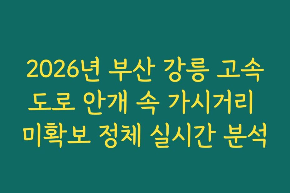 2026년 부산 강릉 고속도로 안개 속 가시거리 미확보 정체 실시간 분석