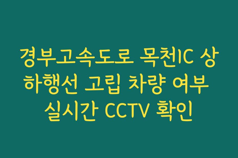 경부고속도로 목천IC 상하행선 고립 차량 여부 실시간 CCTV 확인
