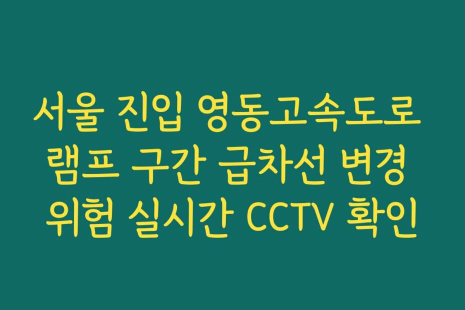서울 진입 영동고속도로 램프 구간 급차선 변경 위험 실시간 CCTV 확인