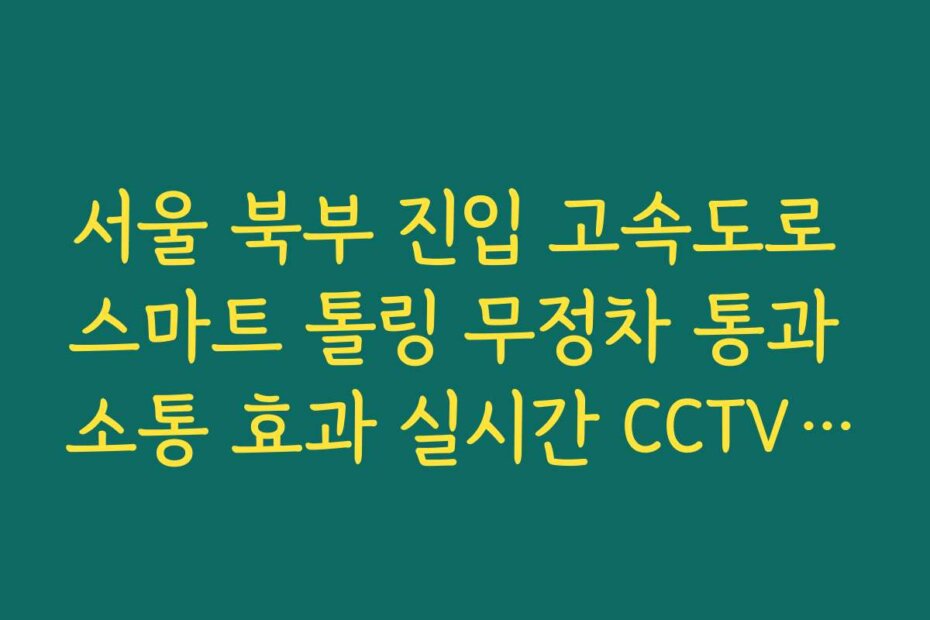 서울 북부 진입 고속도로 스마트 톨링 무정차 통과 소통 효과 실시간 CCTV 확인