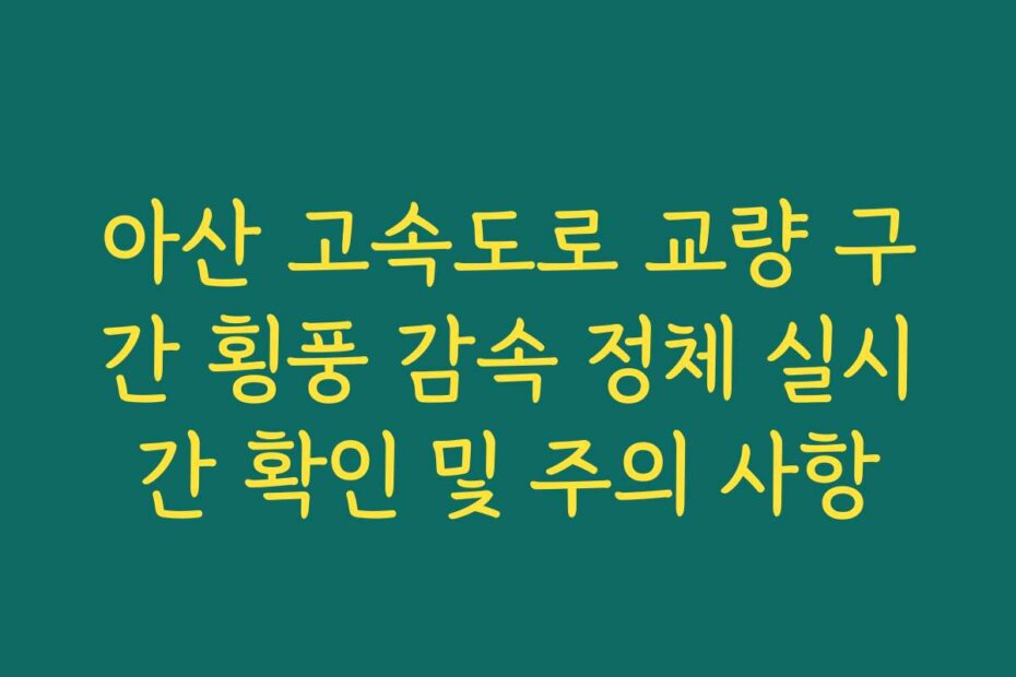 아산 고속도로 교량 구간 횡풍 감속 정체 실시간 확인 및 주의 사항
