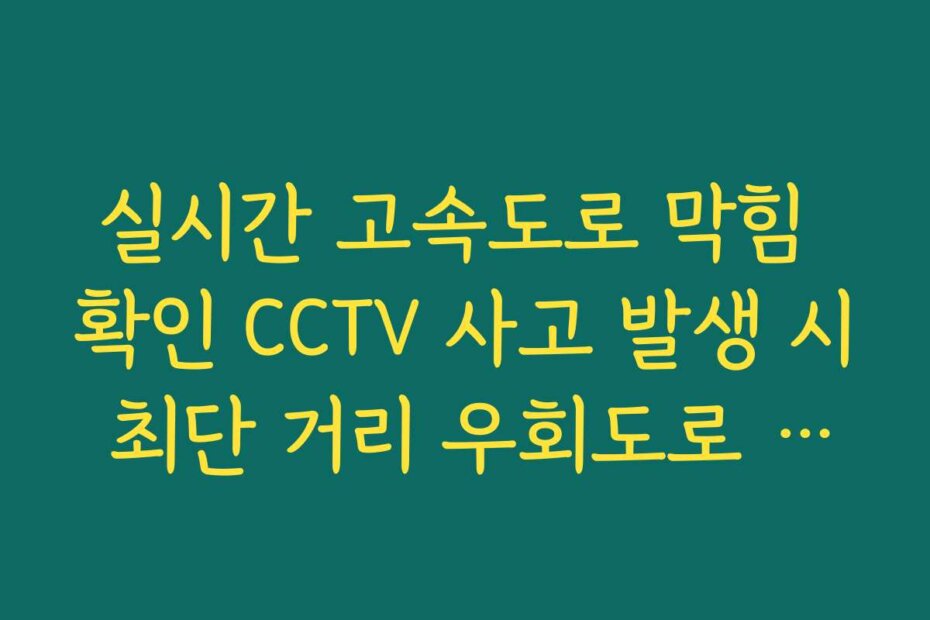 실시간 고속도로 막힘 확인 CCTV 사고 발생 시 최단 거리 우회도로 판단법