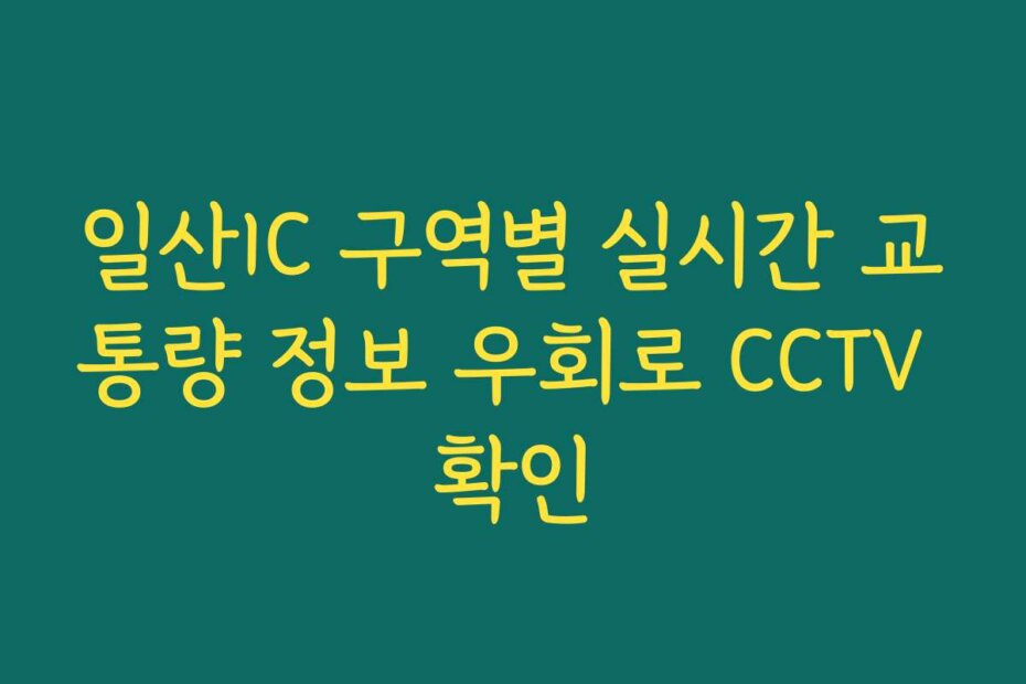 일산IC 구역별 실시간 교통량 정보 우회로 CCTV 확인