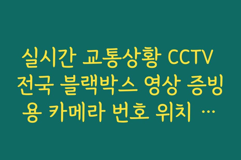 실시간 교통상황 CCTV 전국 블랙박스 영상 증빙용 카메라 번호 위치 안내