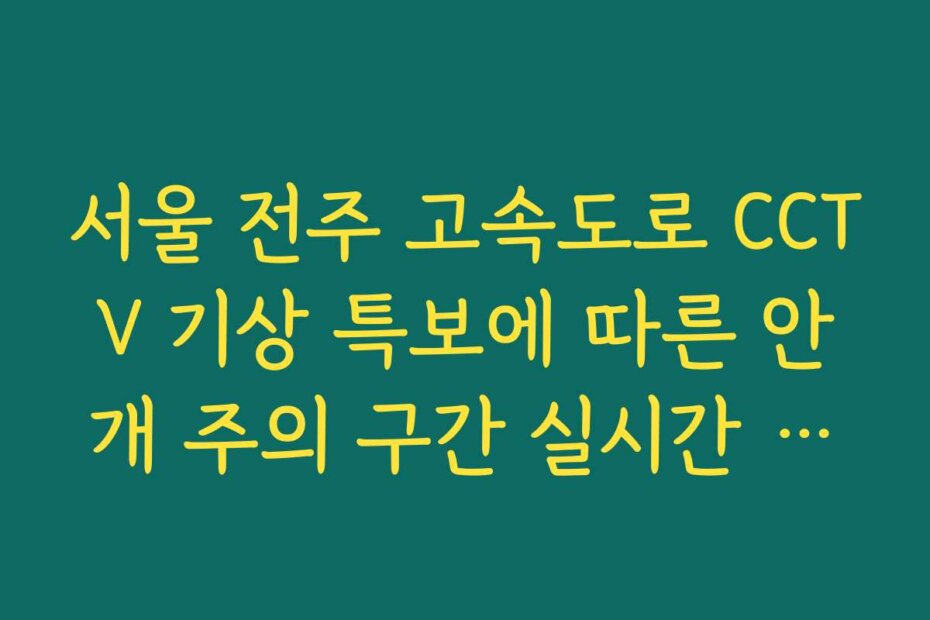 서울 전주 고속도로 CCTV 기상 특보에 따른 안개 주의 구간 실시간 보기