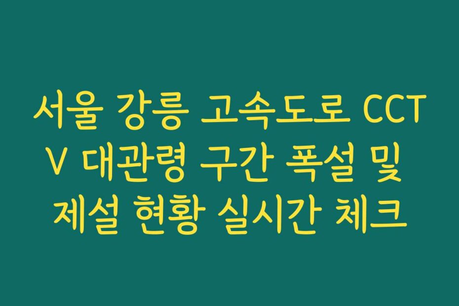 서울 강릉 고속도로 CCTV 대관령 구간 폭설 및 제설 현황 실시간 체크
