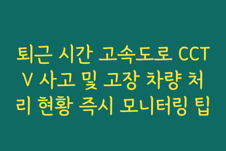 퇴근 시간 고속도로 CCTV 사고 및 고장 차량 처리 현황 즉시 모니터링 팁